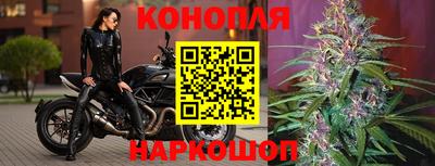 гашик Гусь-Хрустальный