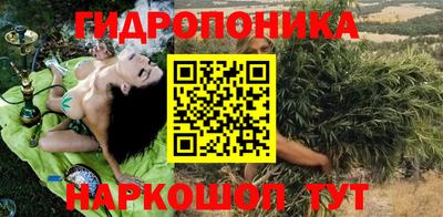 СК Гусев