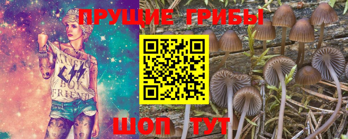 Псилоцибиновые грибы Psilocybine cubensis  продажа наркотиков  Кропоткин  Вход с VPN 