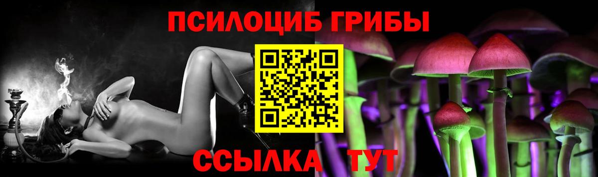 Галлюциногенные грибы Psilocybine cubensis Кропоткин